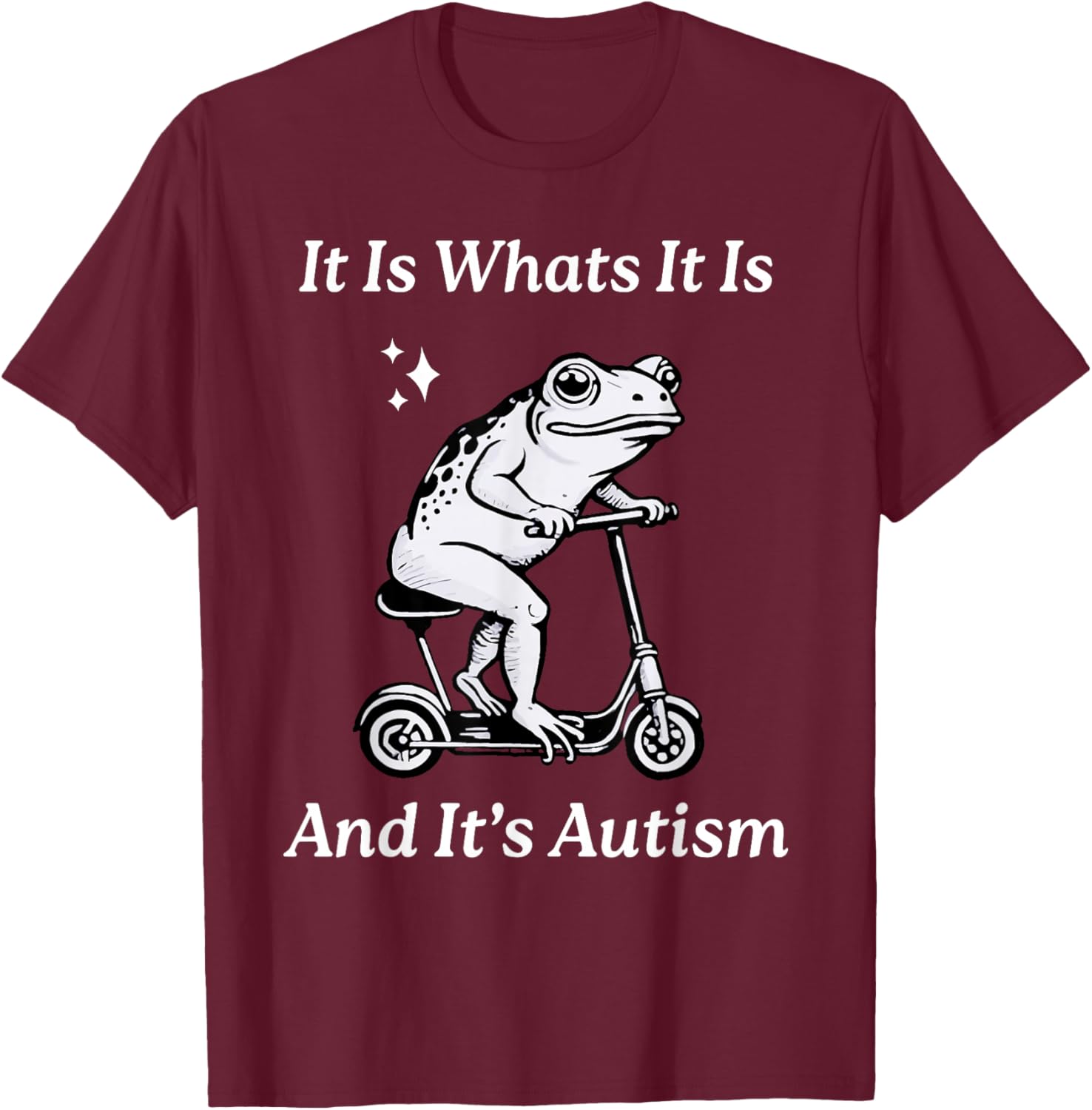 Humorous Autism Awareness T-Shirt - It Is What It Is Funny Meme - 21