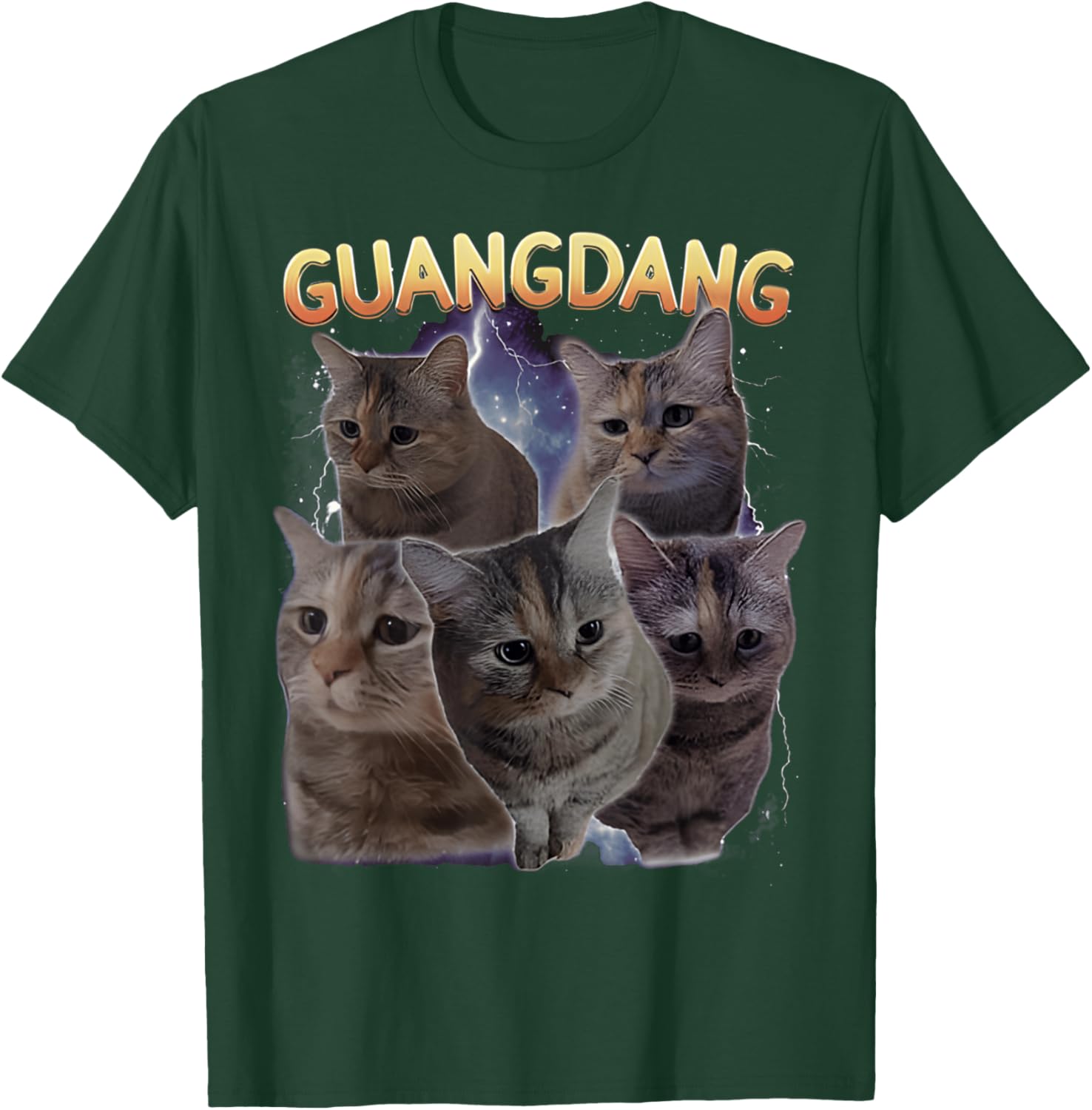 Sad Cat and Funny Meme Cats T-Shirt for Cat Lovers and Humor Fans - 19