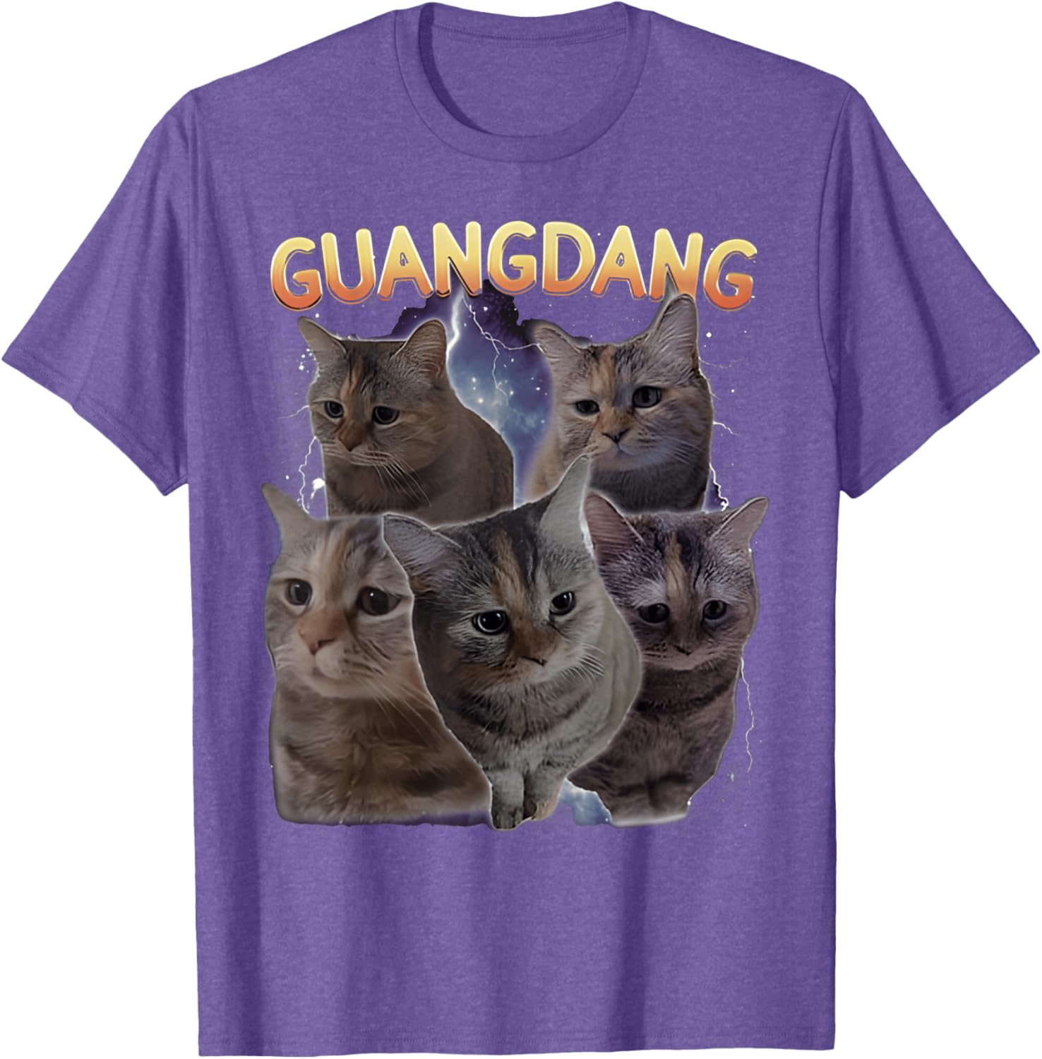 Sad Cat and Funny Meme Cats T-Shirt for Cat Lovers and Humor Fans - 16