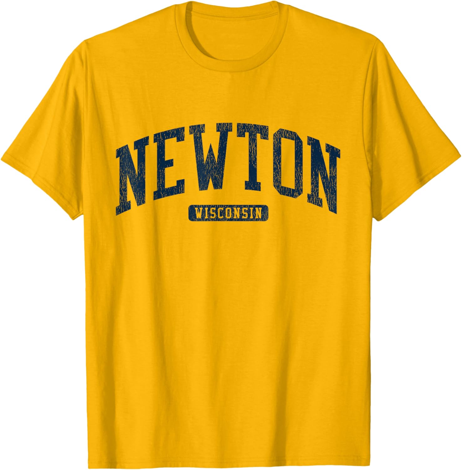 Newton Wisconsin College University Style Blue T-Shirt for Men and Women - 14