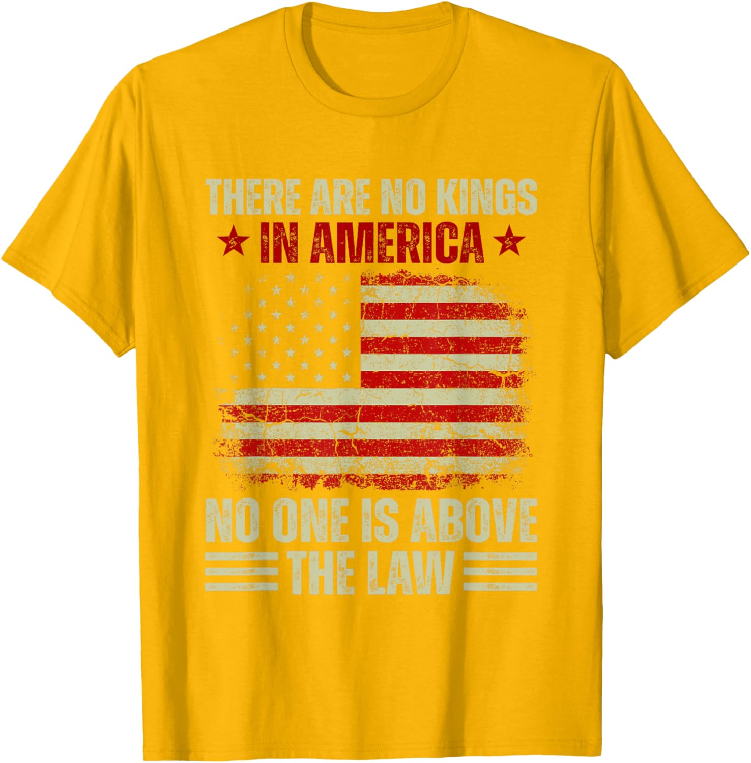 No Kings In America T-Shirt – Law and Justice Graphic Tee for Everyone - 17