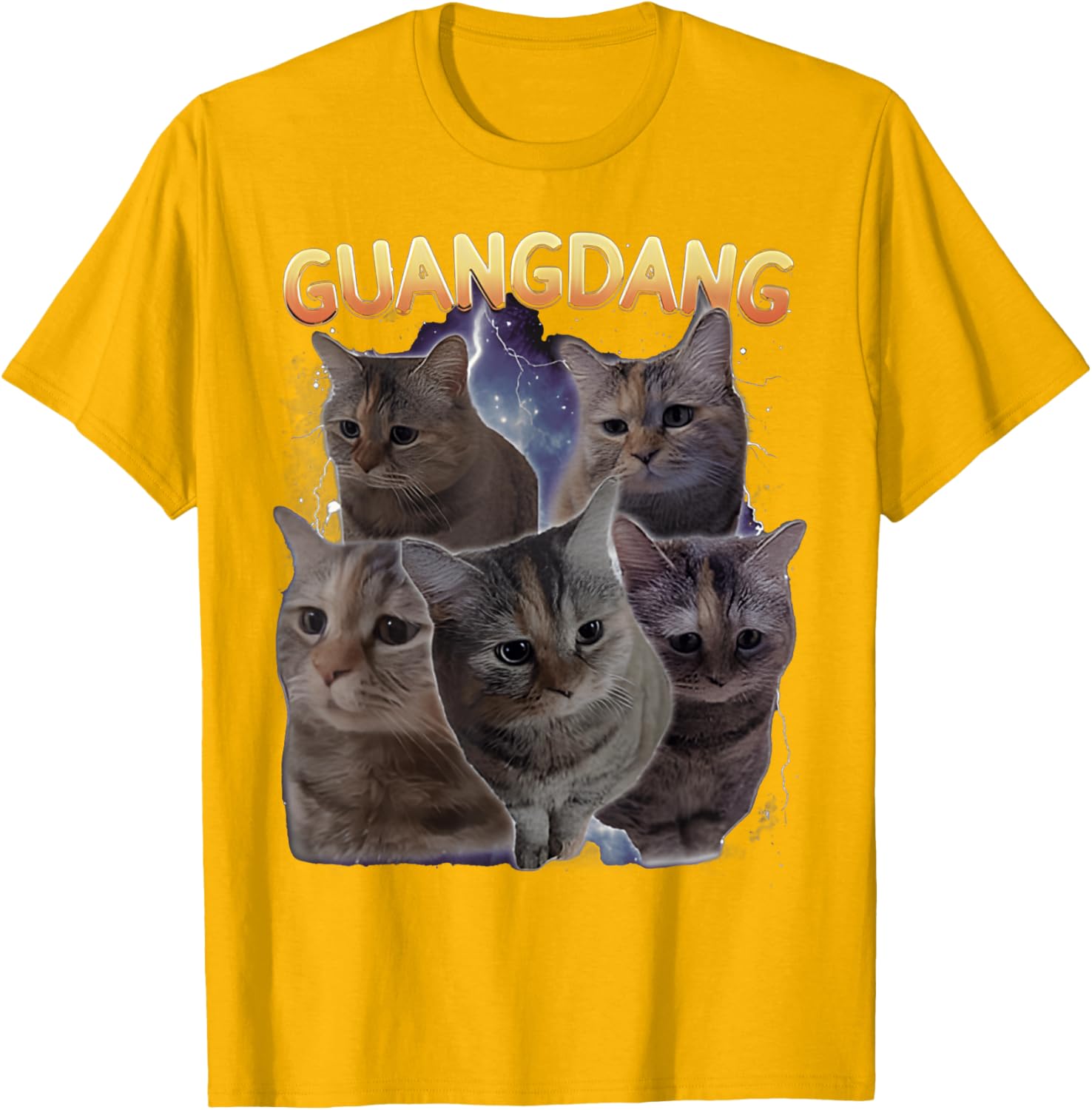 Sad Cat and Funny Meme Cats T-Shirt for Cat Lovers and Humor Fans - 26
