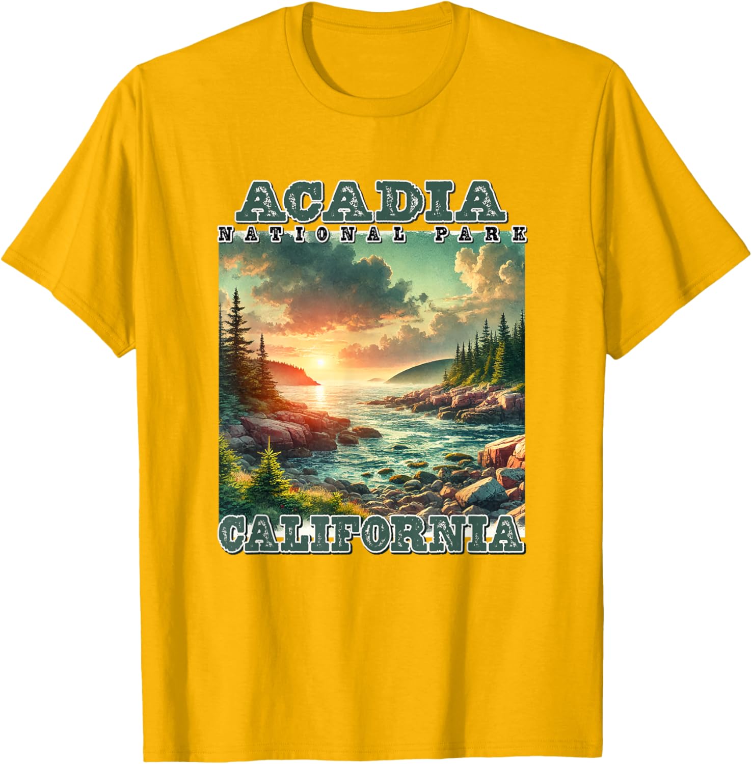 Vintage Retro Acadia National Park Camping T-Shirt for Outdoor Lovers - 12