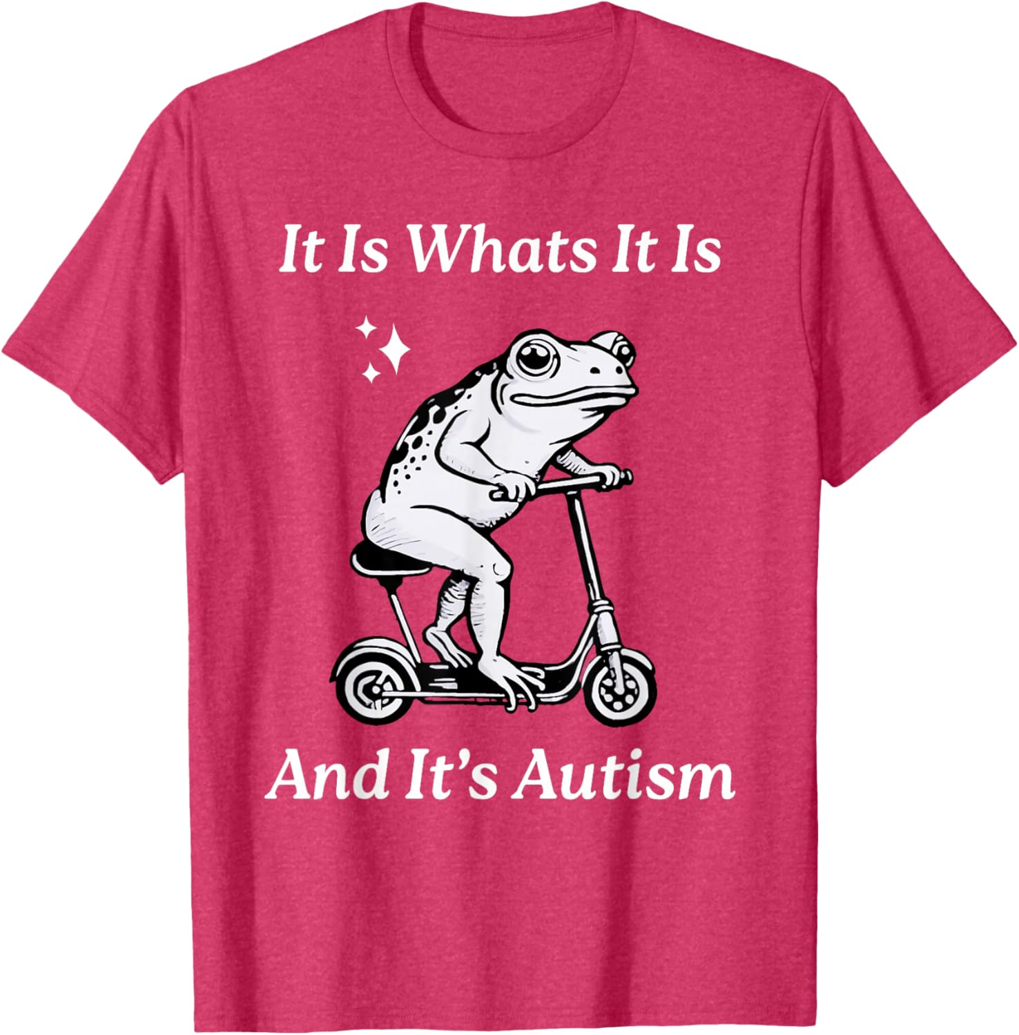 Humorous Autism Awareness T-Shirt - It Is What It Is Funny Meme - 12