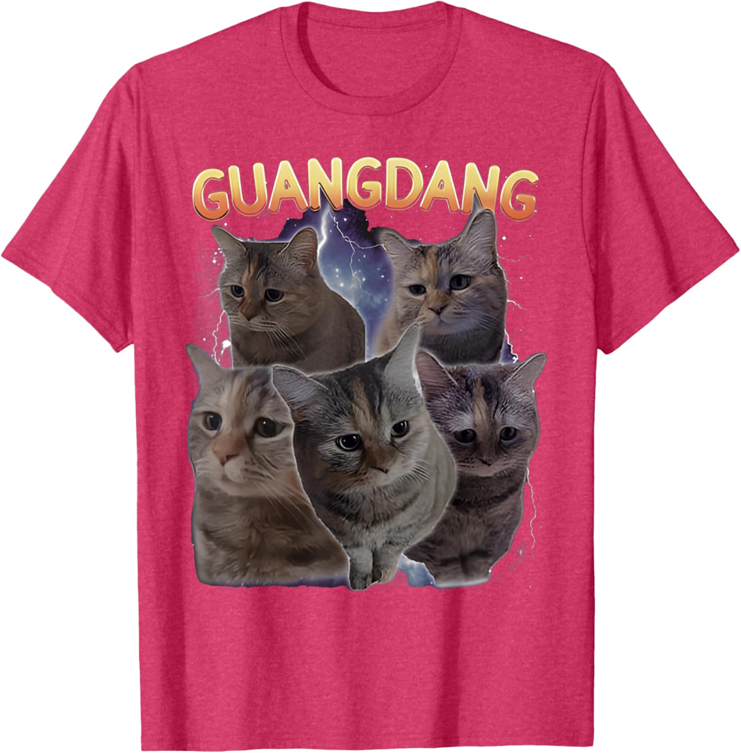 Sad Cat and Funny Meme Cats T-Shirt for Cat Lovers and Humor Fans - 15