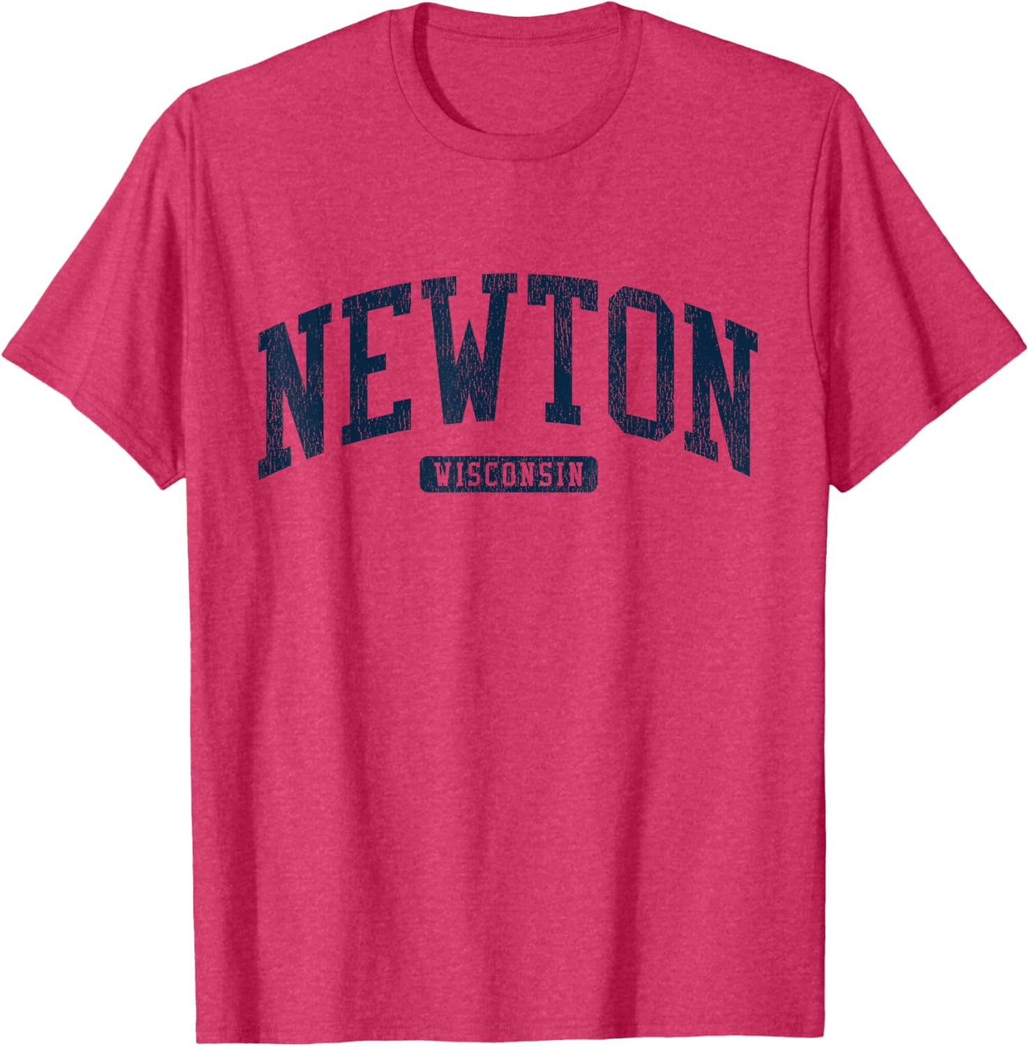 Newton Wisconsin College University Style Blue T-Shirt for Men and Women - 6