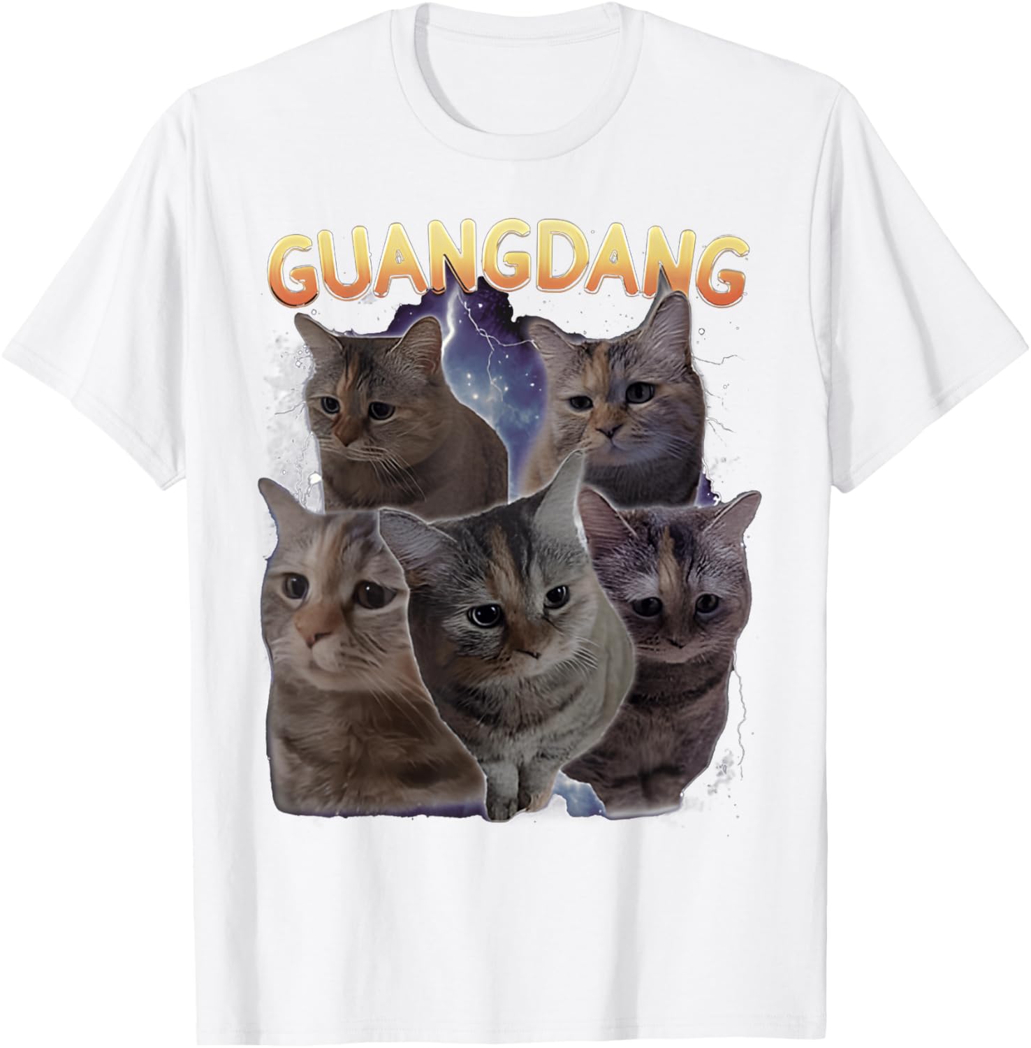Sad Cat and Funny Meme Cats T-Shirt for Cat Lovers and Humor Fans - 28