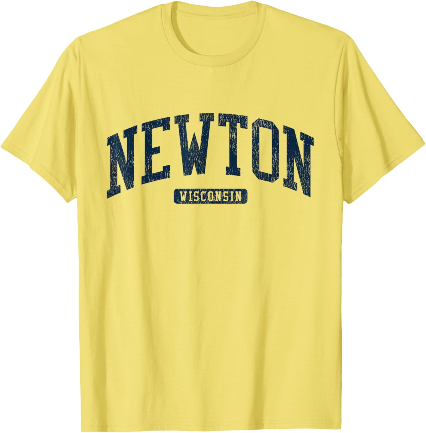 Newton Wisconsin College University Style Blue T-Shirt for Men and Women - 11