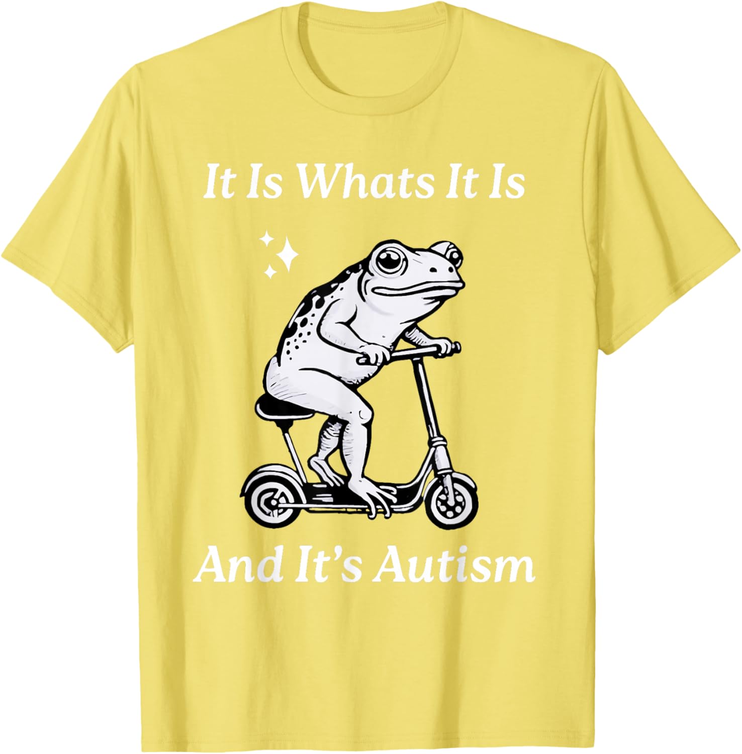 Humorous Autism Awareness T-Shirt - It Is What It Is Funny Meme - 9