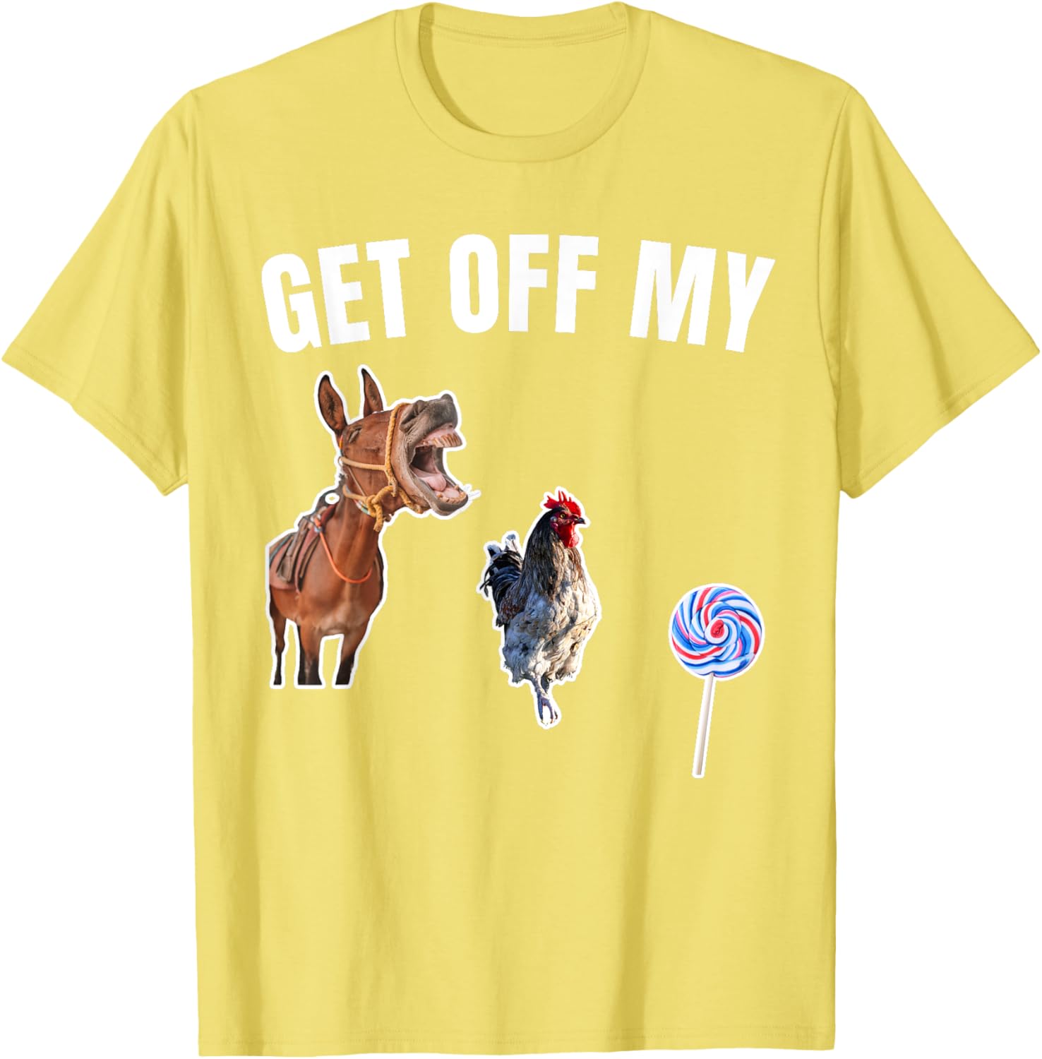 Funny Offensive Graphic Tee for Adults - Humorous Apparel for All - 26