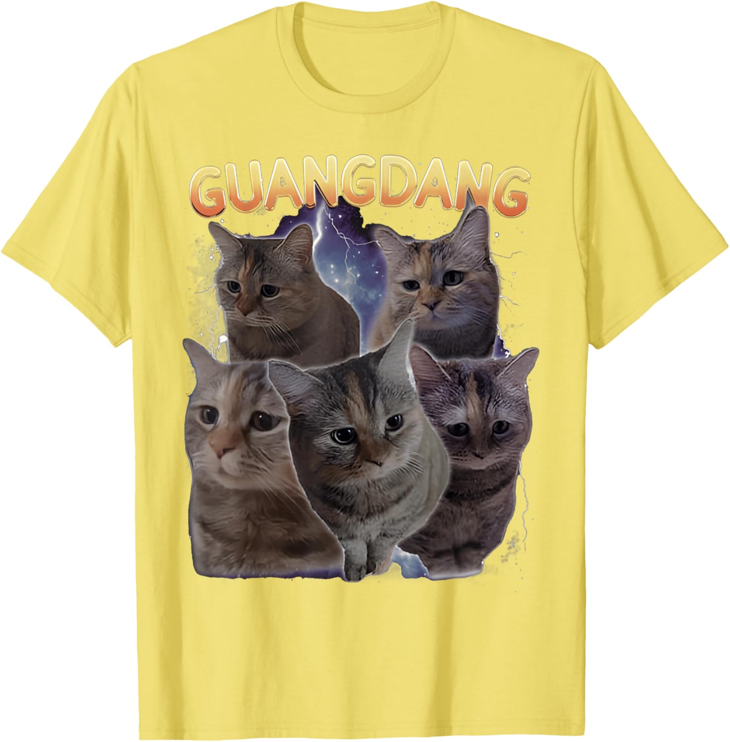 Sad Cat and Funny Meme Cats T-Shirt for Cat Lovers and Humor Fans - 10
