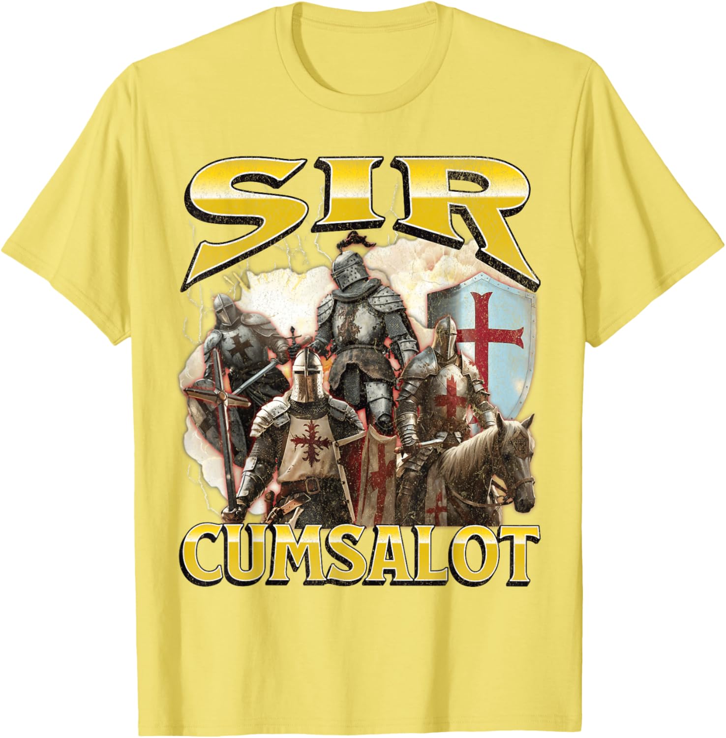 Sir Cumsalot Funny Offensive Knight Meme Graphic T-Shirt for Adults - 24