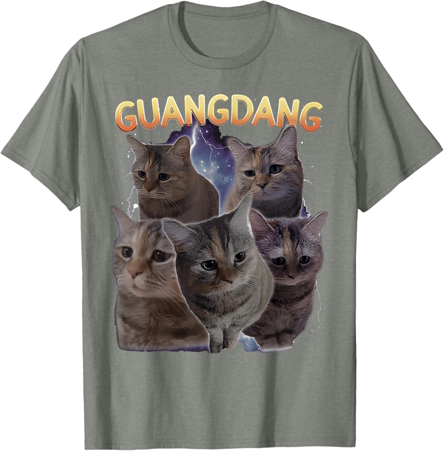 Sad Cat and Funny Meme Cats T-Shirt for Cat Lovers and Humor Fans - 22