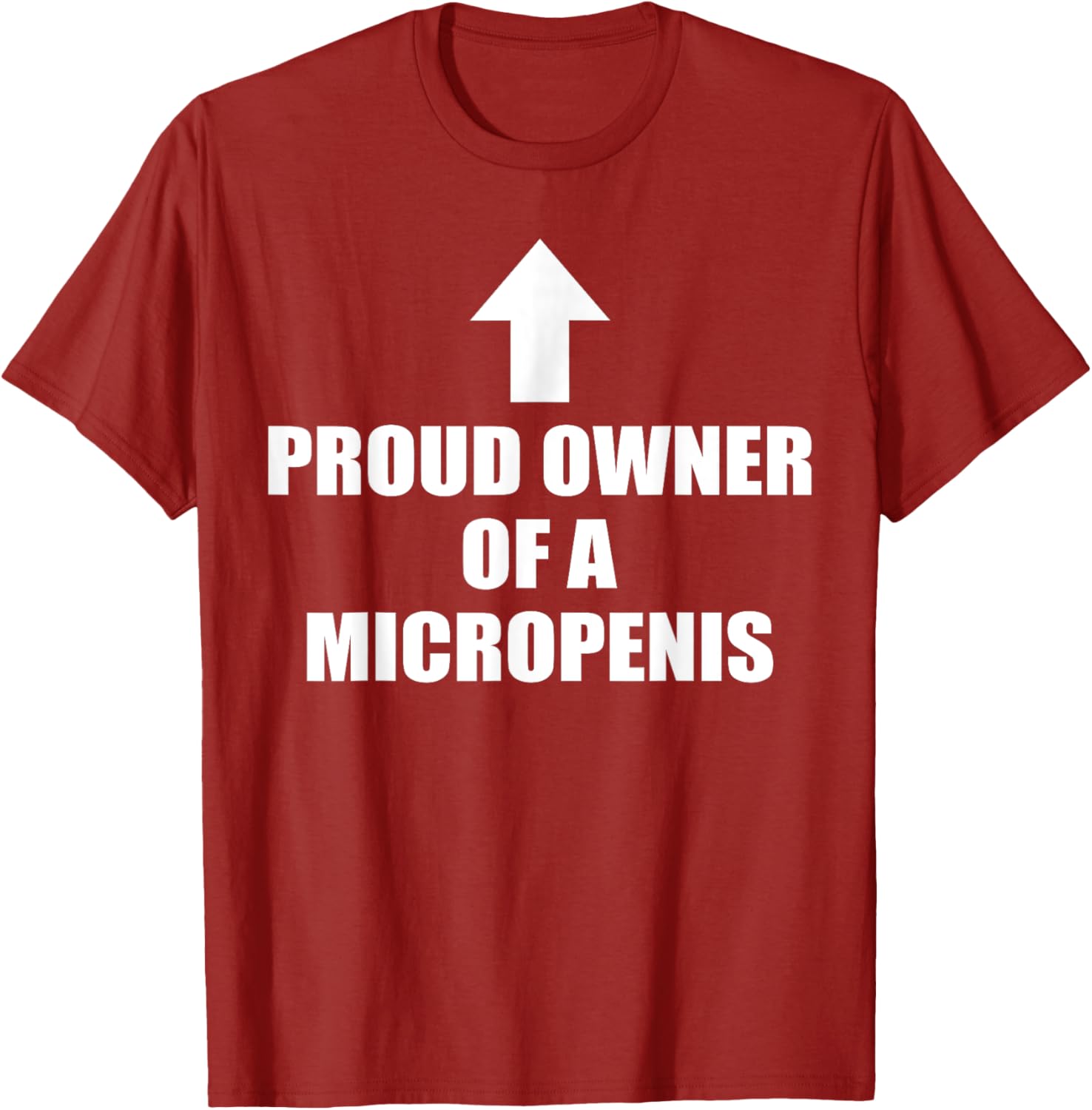 Funny Rude Micropenis Bachelor Party T-Shirt for Proud Owners - 2