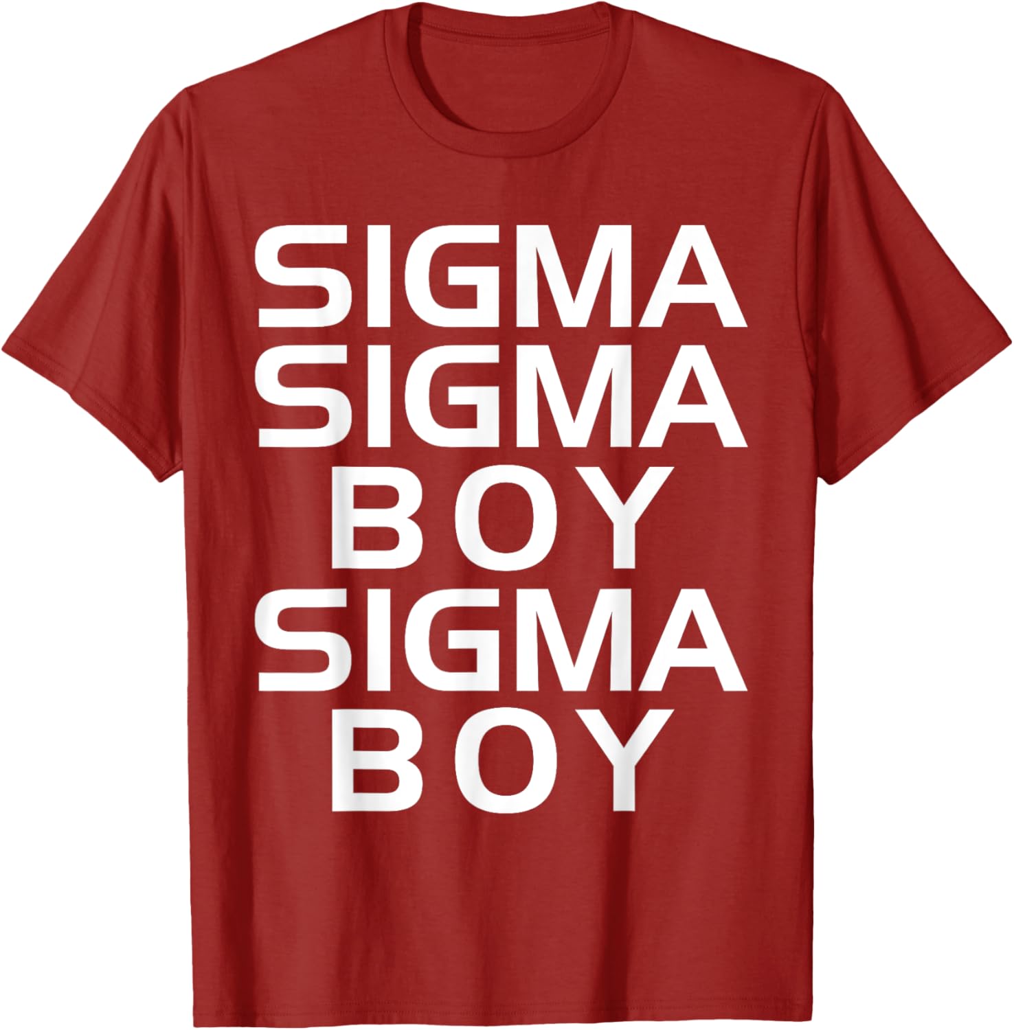 Sigma Boy T-Shirt - Motivational Sigma Male Trendy Design Apparel - 2