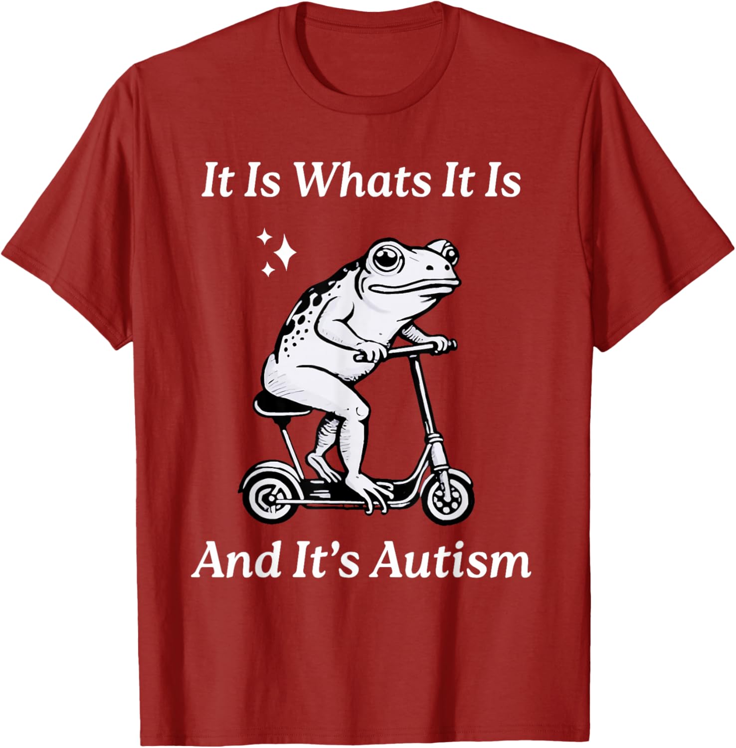 Humorous Autism Awareness T-Shirt - It Is What It Is Funny Meme - 14