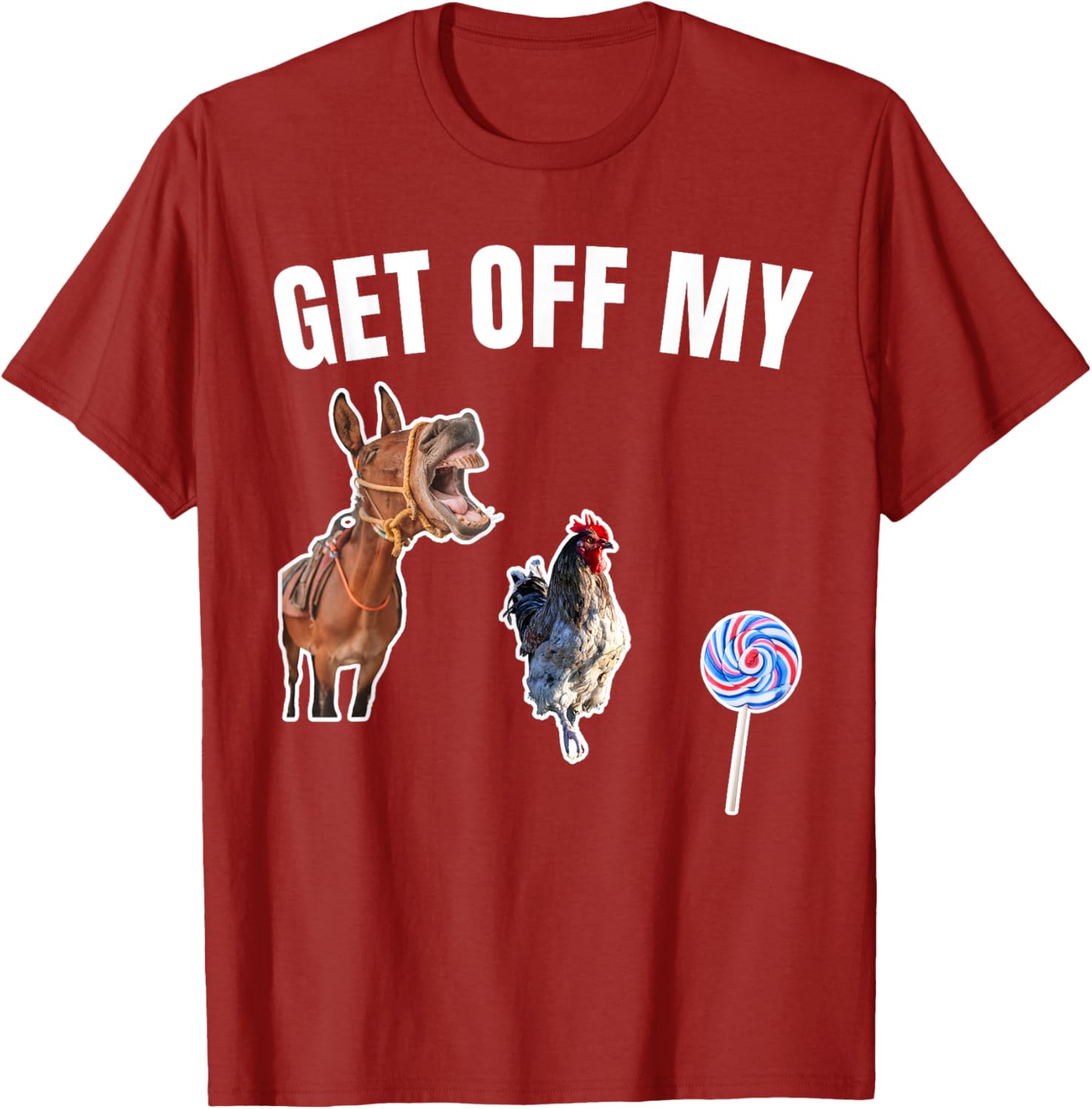 Funny Offensive Graphic Tee for Adults - Humorous Apparel for All - 10