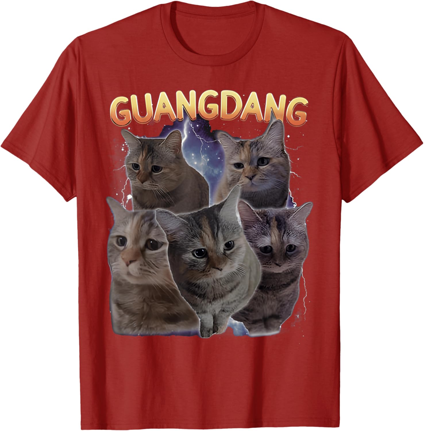 Sad Cat and Funny Meme Cats T-Shirt for Cat Lovers and Humor Fans - 5