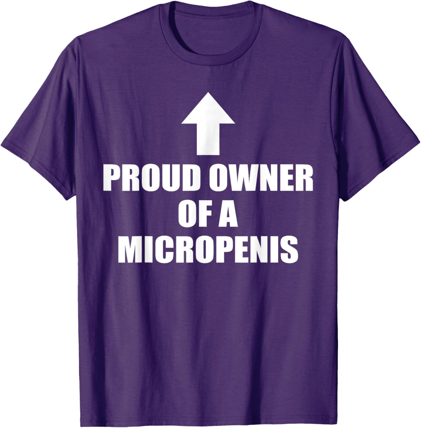 Funny Rude Micropenis Bachelor Party T-Shirt for Proud Owners - 10