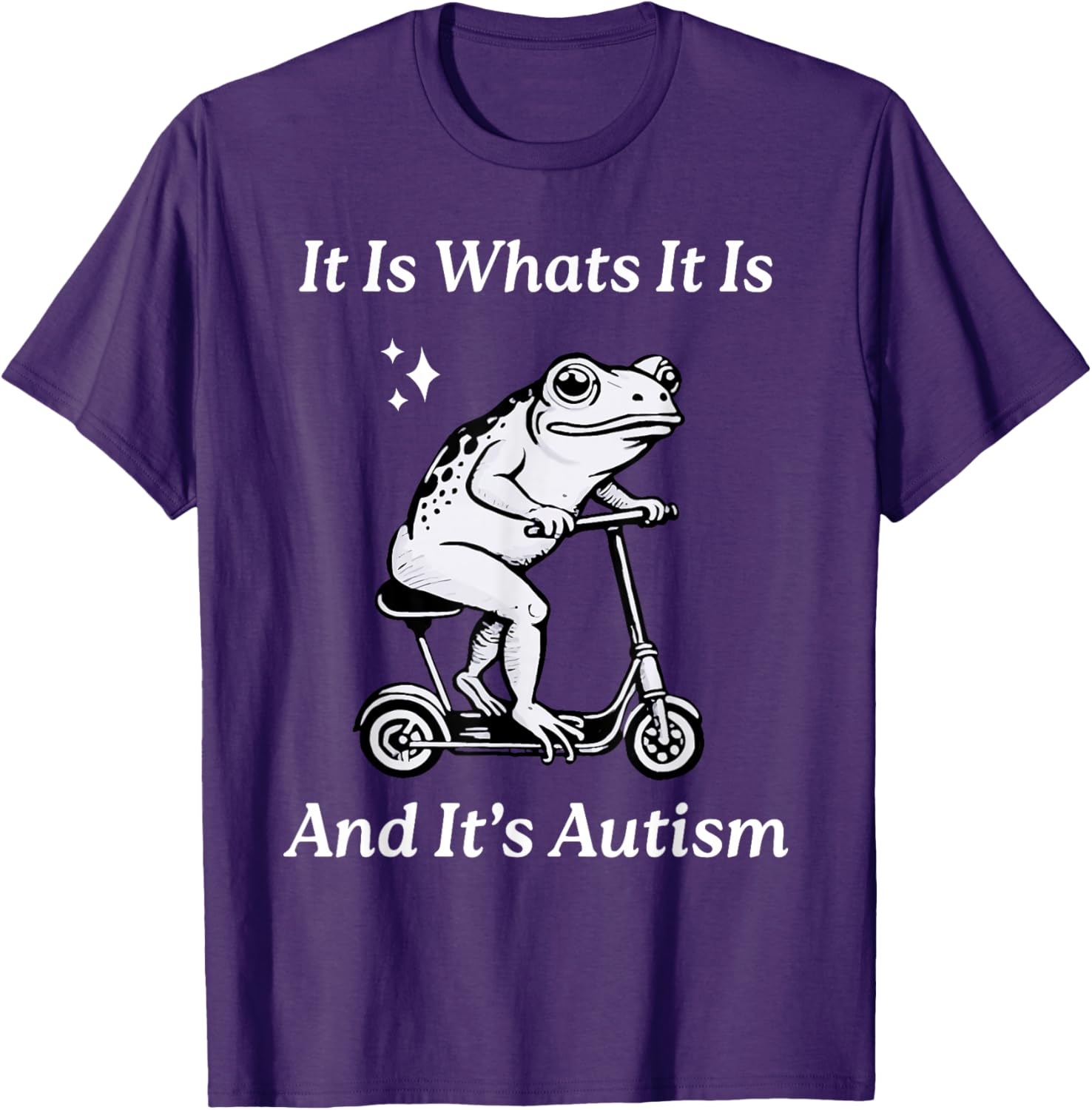 Humorous Autism Awareness T-Shirt - It Is What It Is Funny Meme - 19