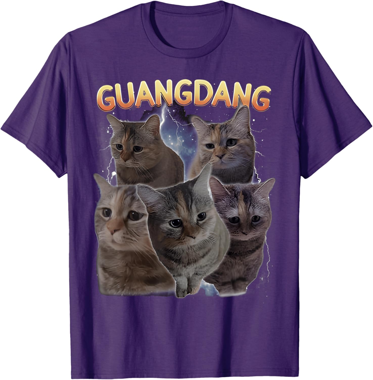 Sad Cat and Funny Meme Cats T-Shirt for Cat Lovers and Humor Fans - 9