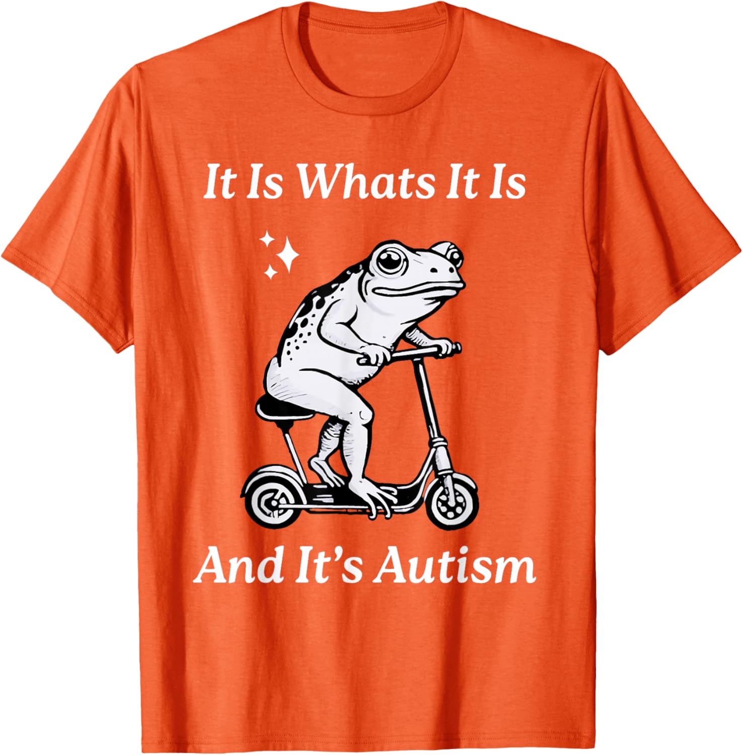 Humorous Autism Awareness T-Shirt - It Is What It Is Funny Meme - 17