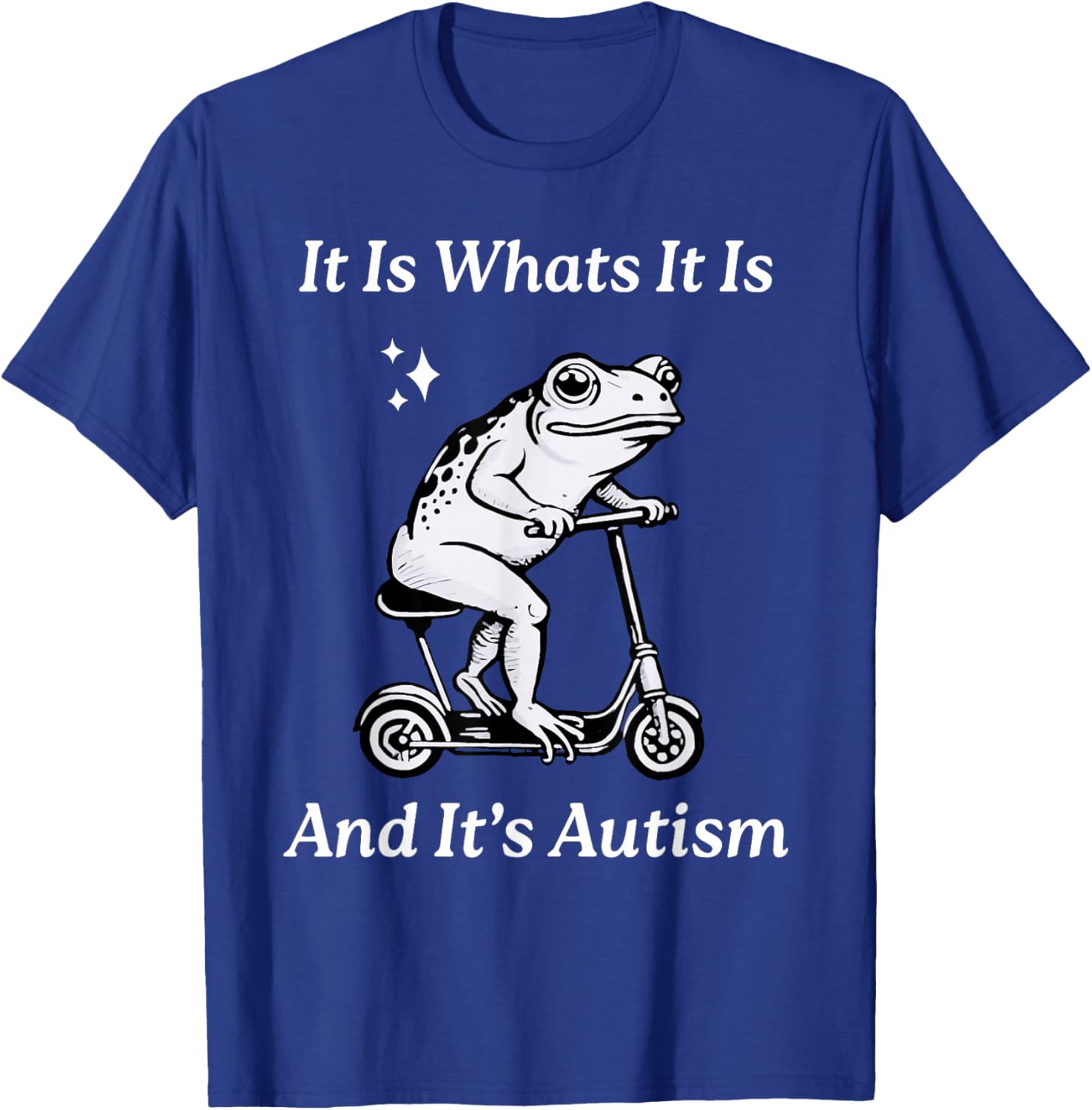 Humorous Autism Awareness T-Shirt - It Is What It Is Funny Meme - 7