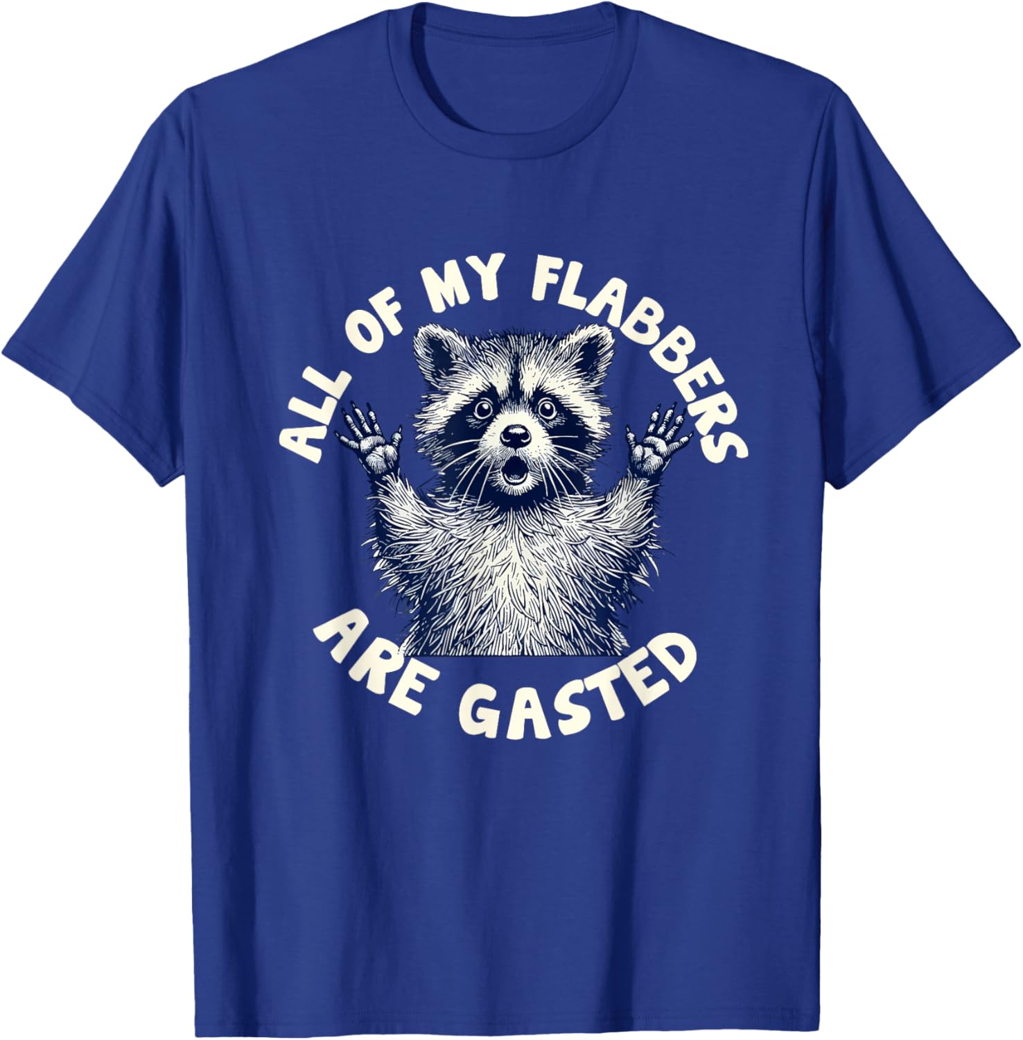 Funny Raccoon Meme T-Shirt All of My Flabbers Are Gasted Apparel - 1