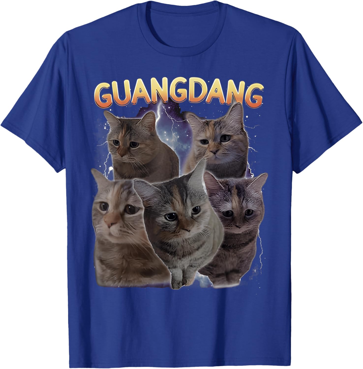 Sad Cat and Funny Meme Cats T-Shirt for Cat Lovers and Humor Fans - 2