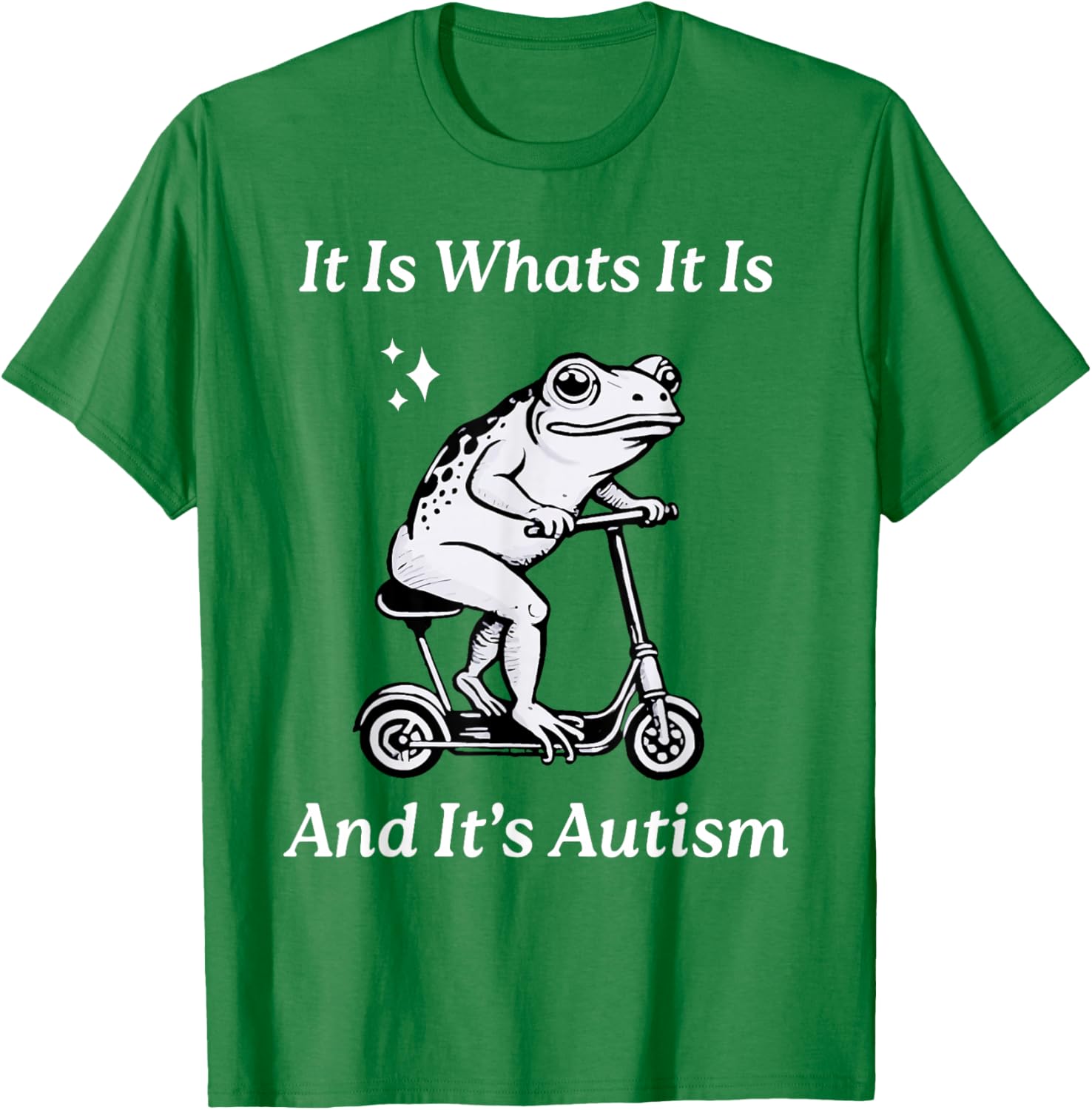 Humorous Autism Awareness T-Shirt - It Is What It Is Funny Meme - 16