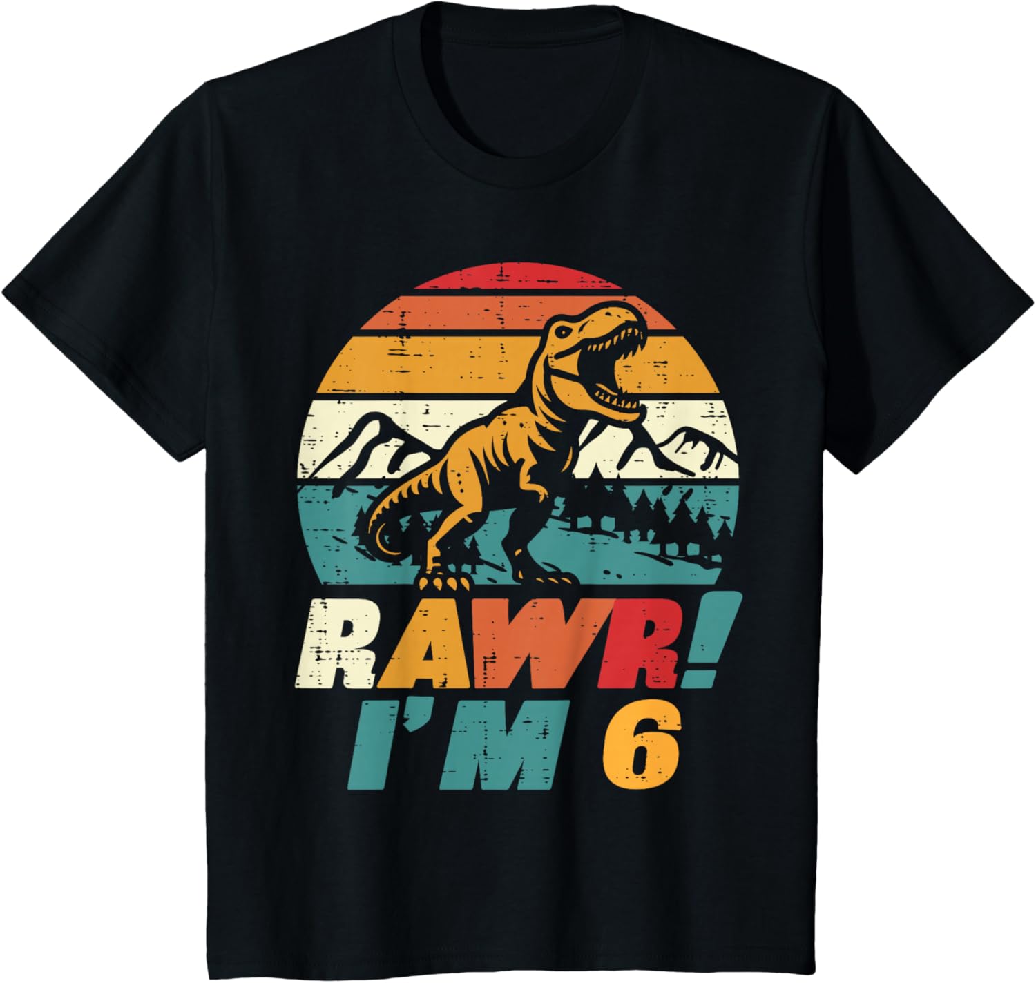 Fun Dinosaur Rawr I'm 6 Retro T-Rex Birthday T-Shirt for Boys - 1