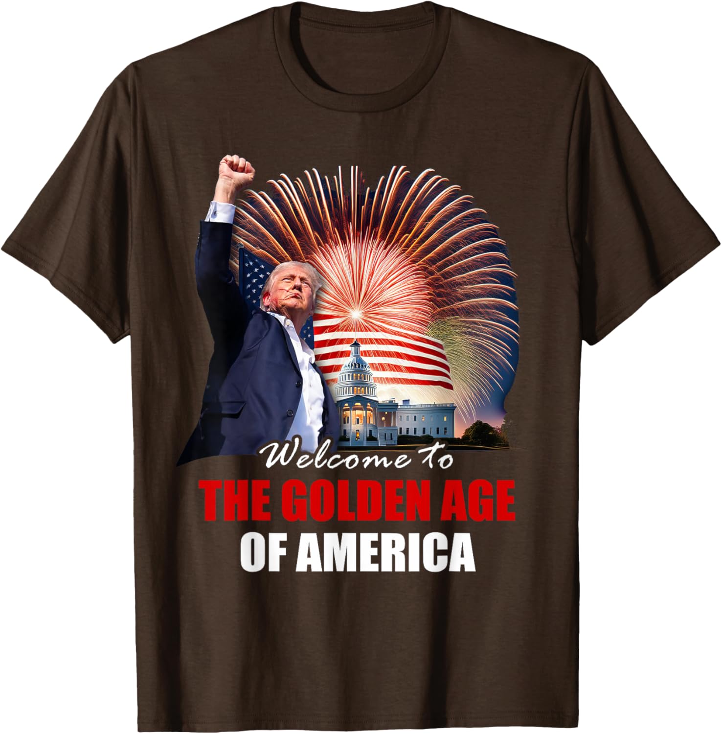 Welcome To The Golden Age of America Trump Inauguration 2025 T-Shirt - 4