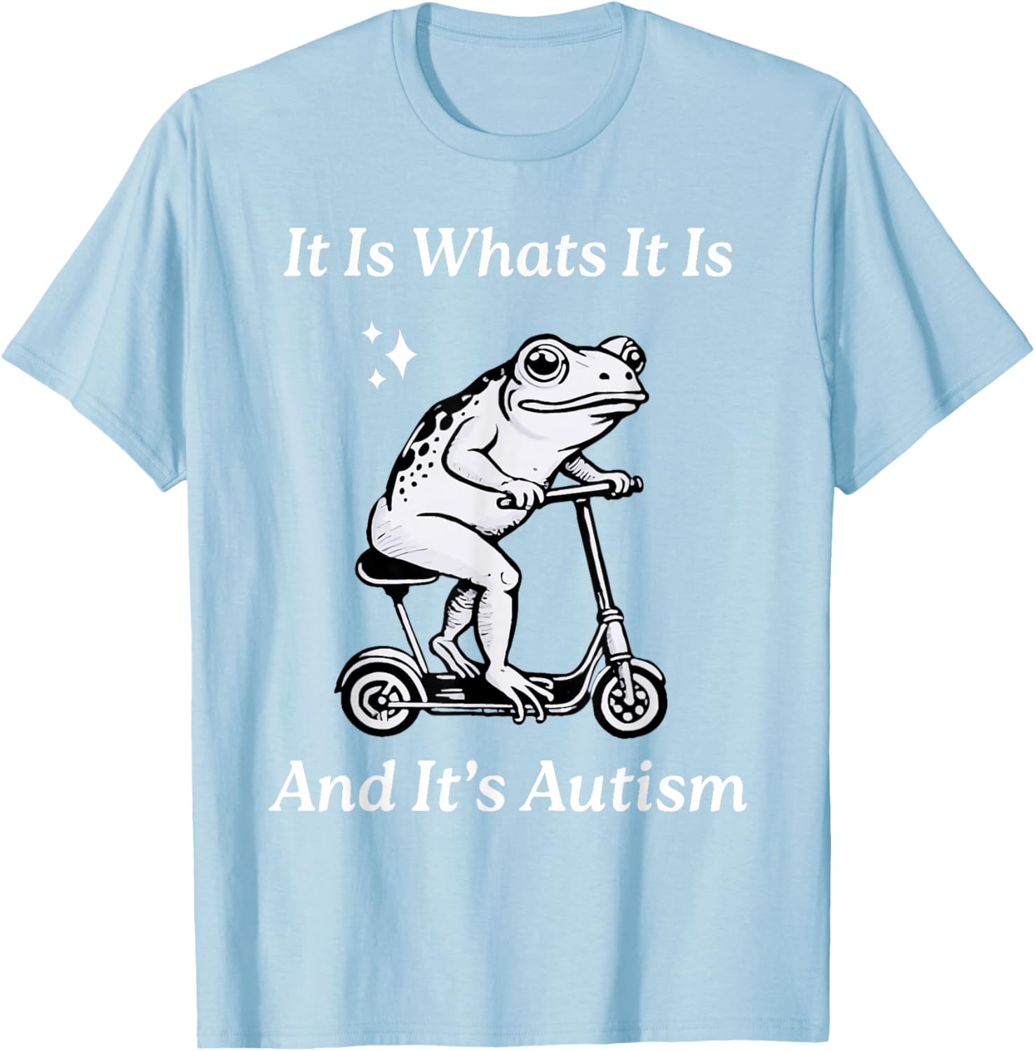 Humorous Autism Awareness T-Shirt - It Is What It Is Funny Meme - 15