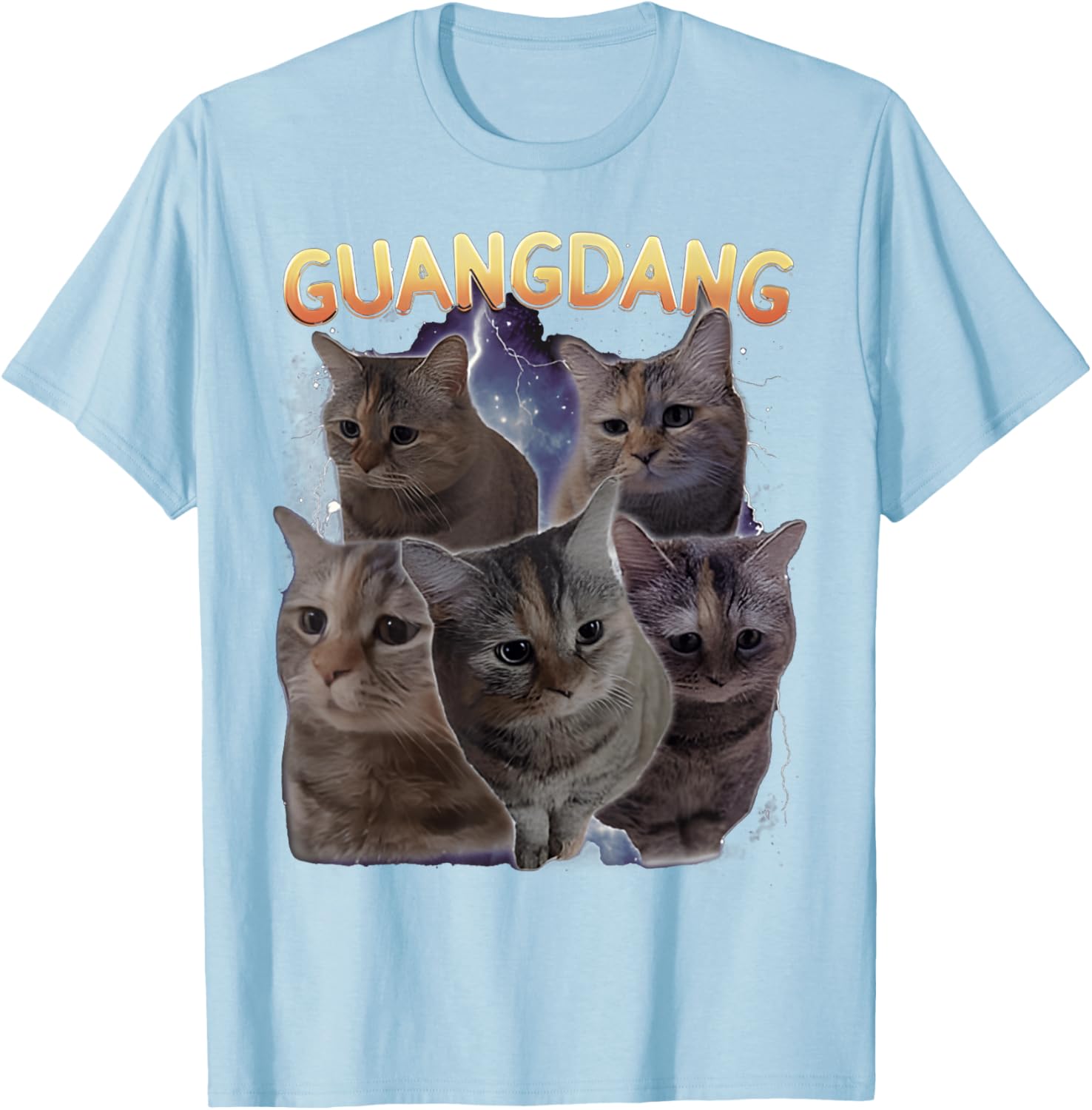 Sad Cat and Funny Meme Cats T-Shirt for Cat Lovers and Humor Fans - 21