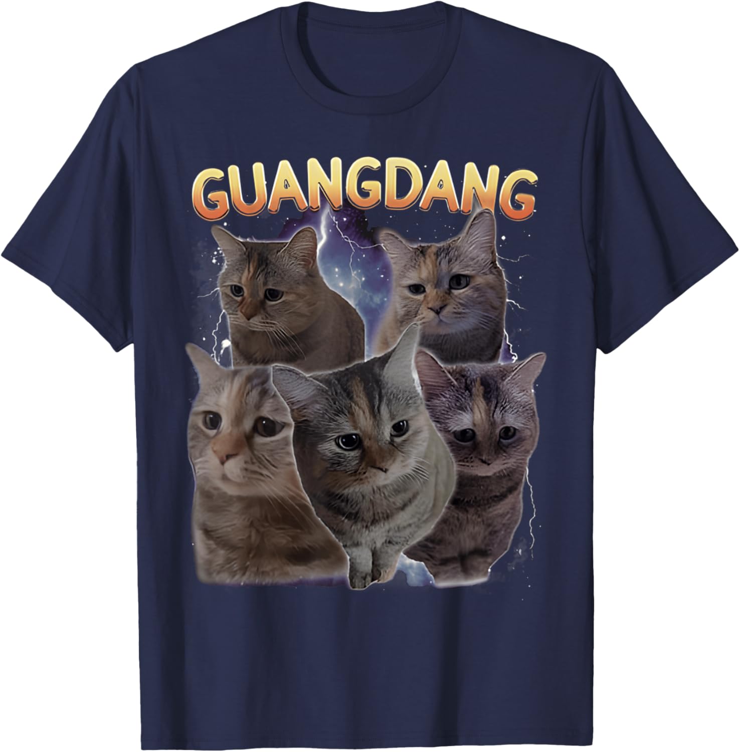 Sad Cat and Funny Meme Cats T-Shirt for Cat Lovers and Humor Fans - 24