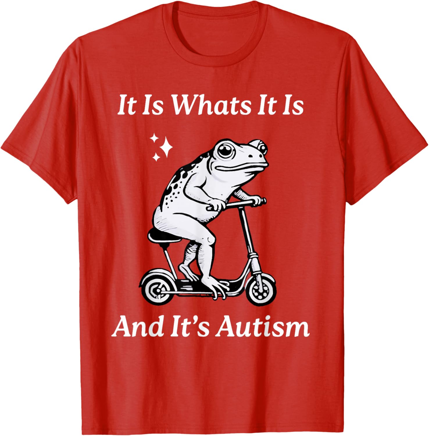 Humorous Autism Awareness T-Shirt - It Is What It Is Funny Meme - 20