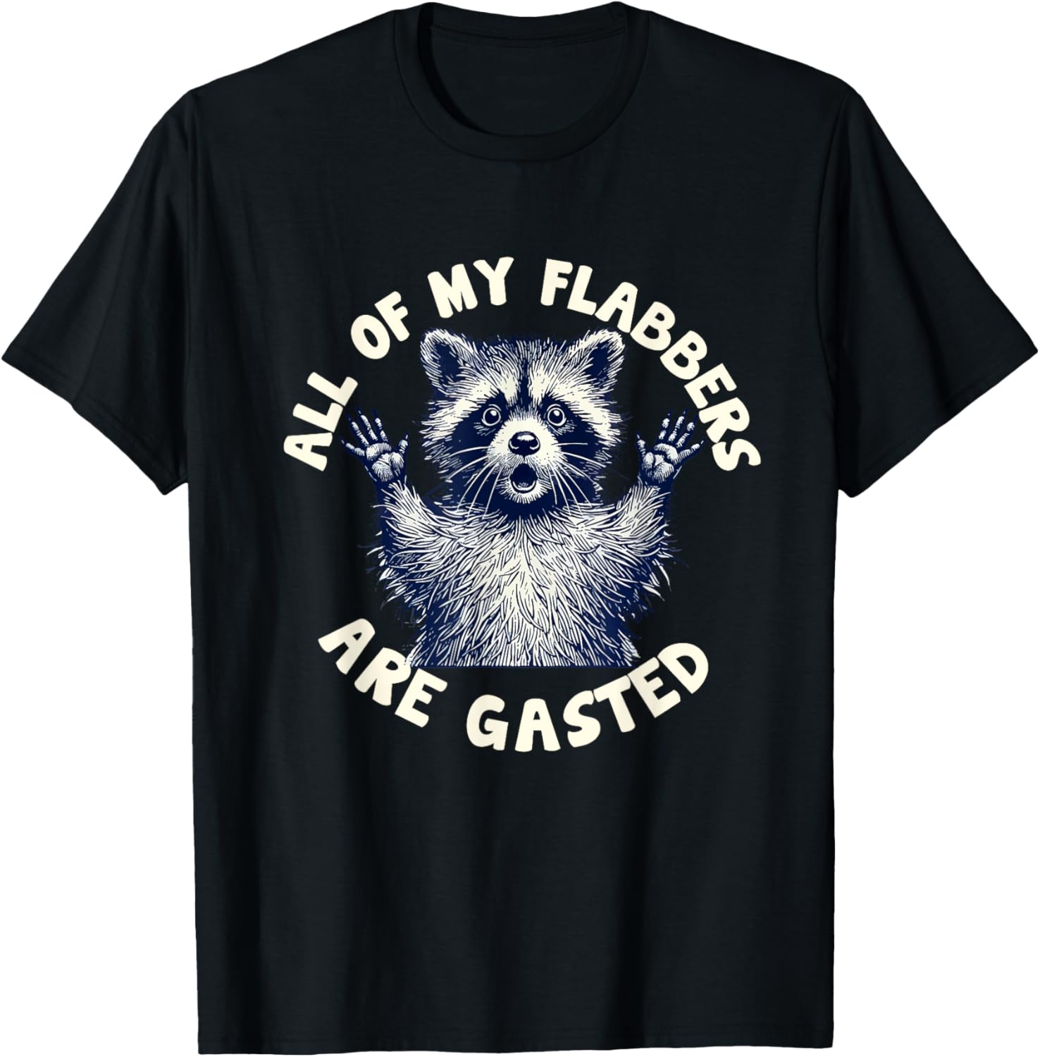 Funny Raccoon Meme T-Shirt All of My Flabbers Are Gasted Apparel - 5