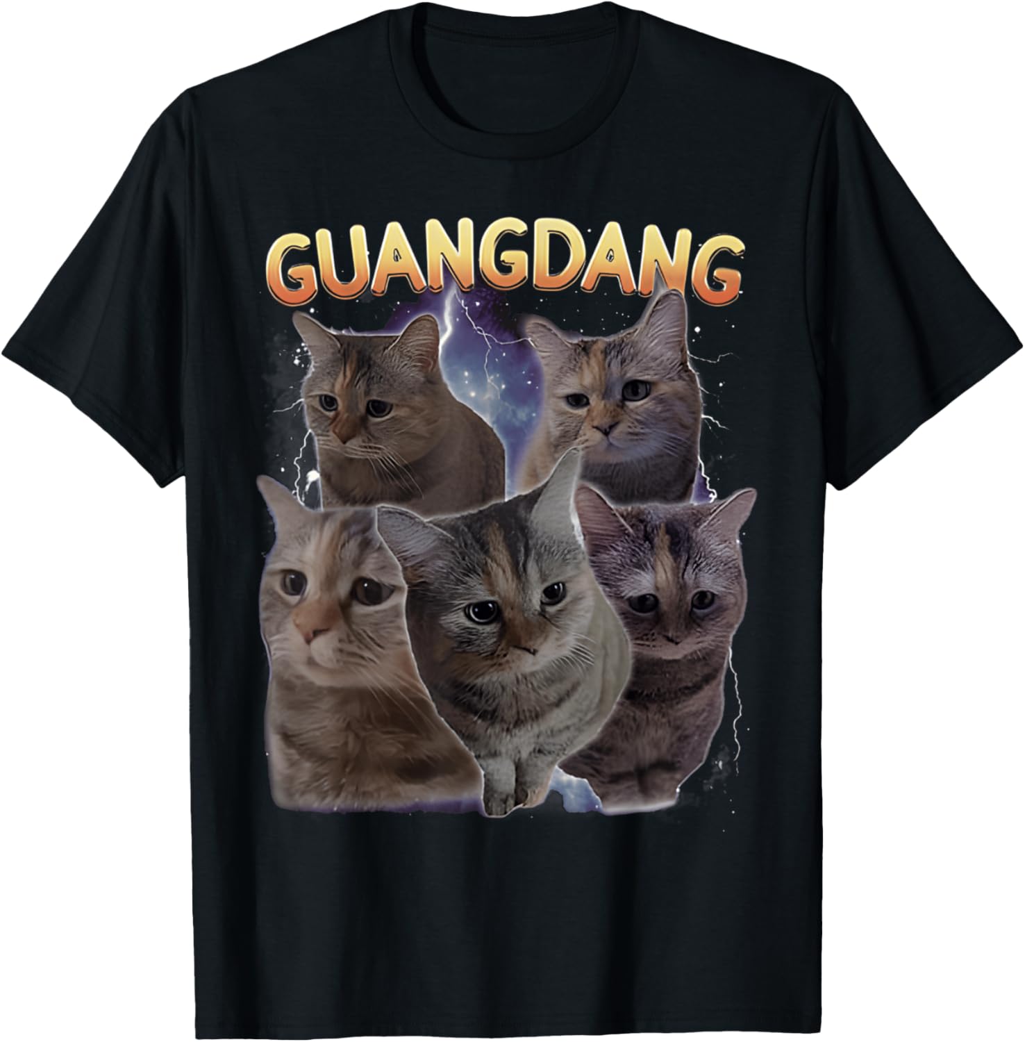 Sad Cat and Funny Meme Cats T-Shirt for Cat Lovers and Humor Fans - 29