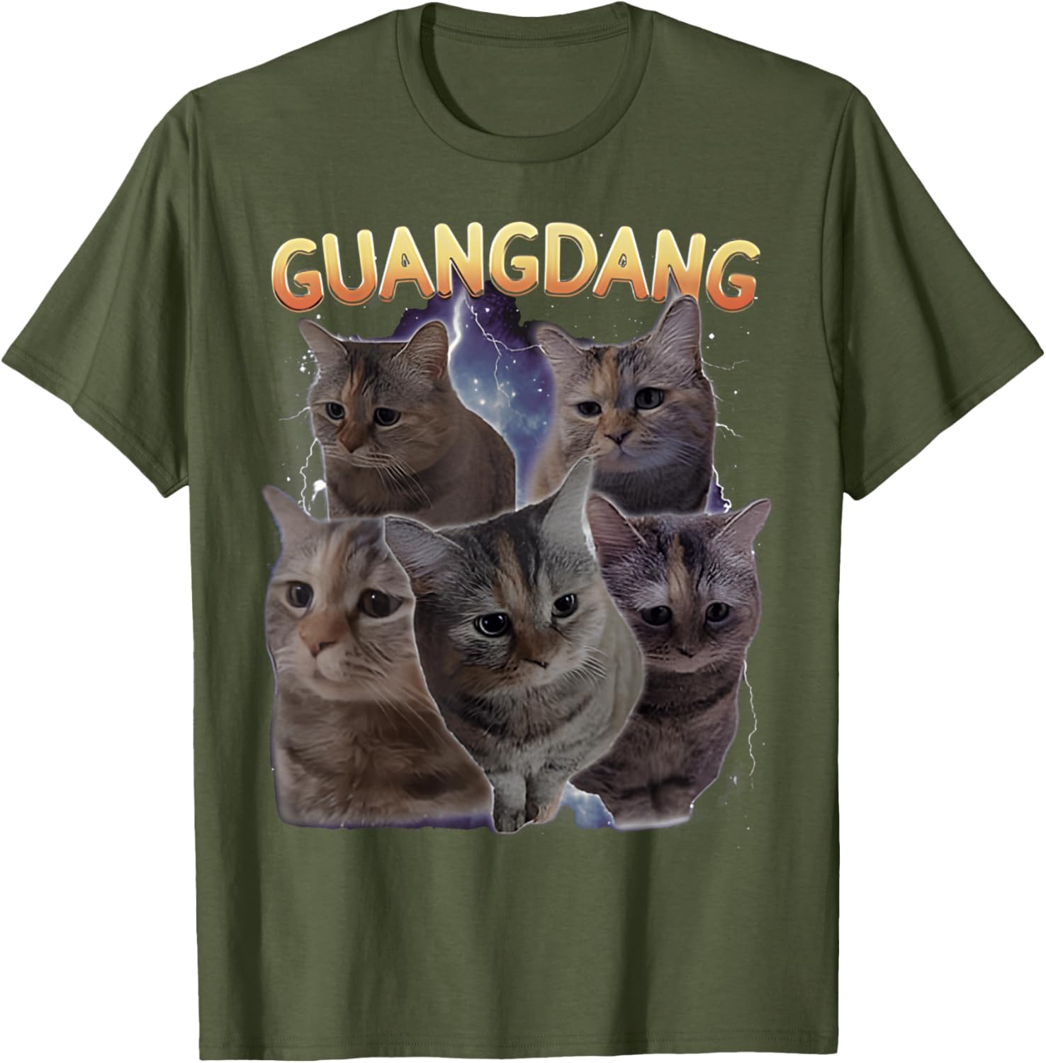 Sad Cat and Funny Meme Cats T-Shirt for Cat Lovers and Humor Fans - 17